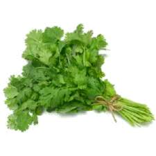FRESH CORIANDER BUNCH
